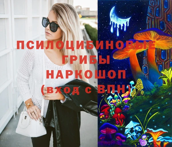 метадон Ладушкин